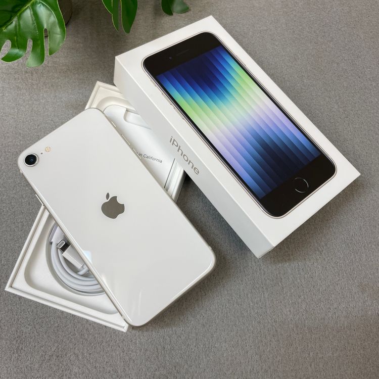 �Хåƥ꡼ 100% iPhone SE3 64GB �������饤�� ������ SIM�ե꡼ ����̵��