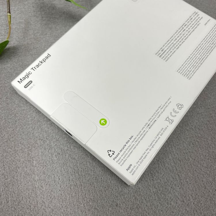 ʡ̤ Magic TrackpadUSB -C- ֥å ̵