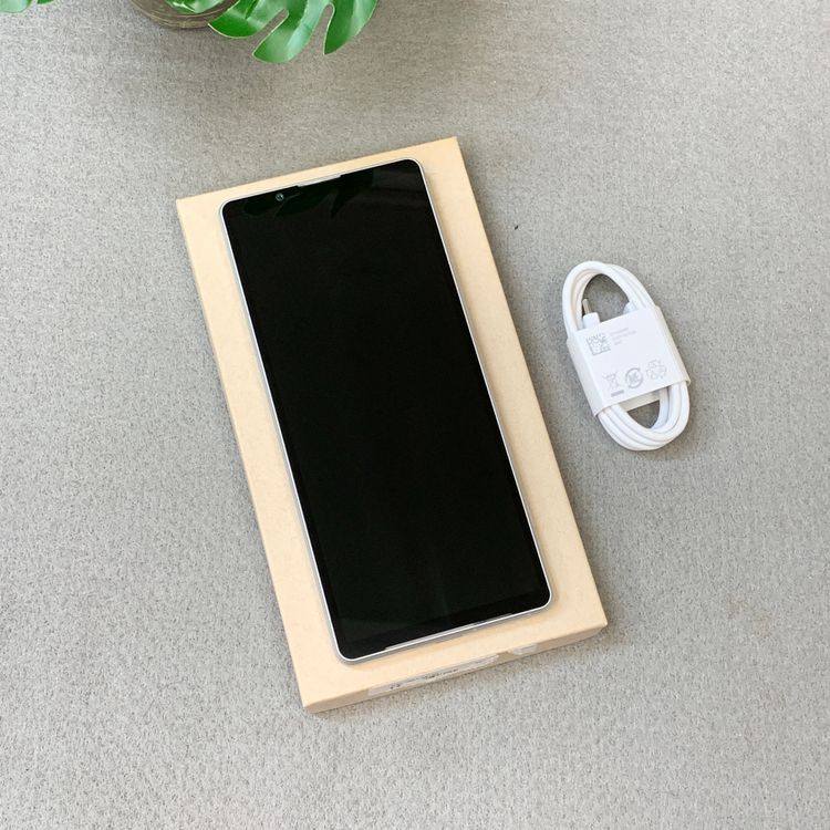 Xperia 5 V SO-53D 128GB �ץ���ʥ���С� ����SIM�ե꡼ ����̵��