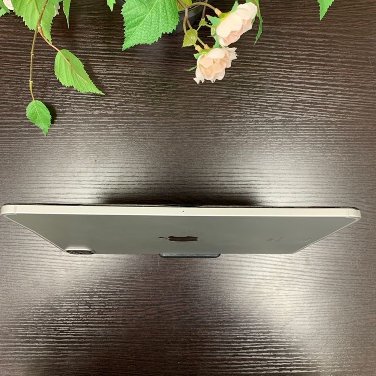 iPad Pro 113) 128GB Wi-Fi + Cellularǥ