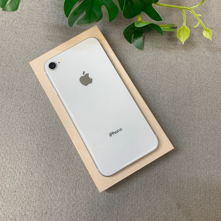 iPhone 8 64GB �ۥ磻�� ������ SIM�ե꡼����̵��