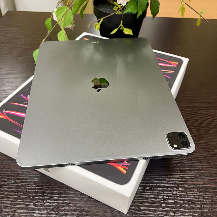 iPad Pro 12.96M2 å 256GB Wi-Fiǥ
