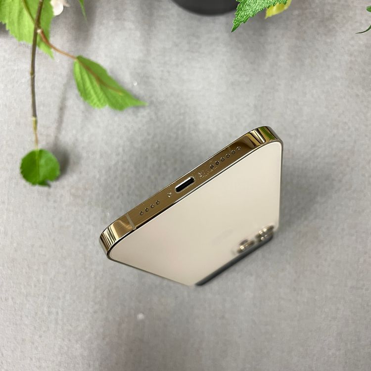 iPhone12 Pro Max 256Gb ������� ����SIM�ե꡼ ����̵��