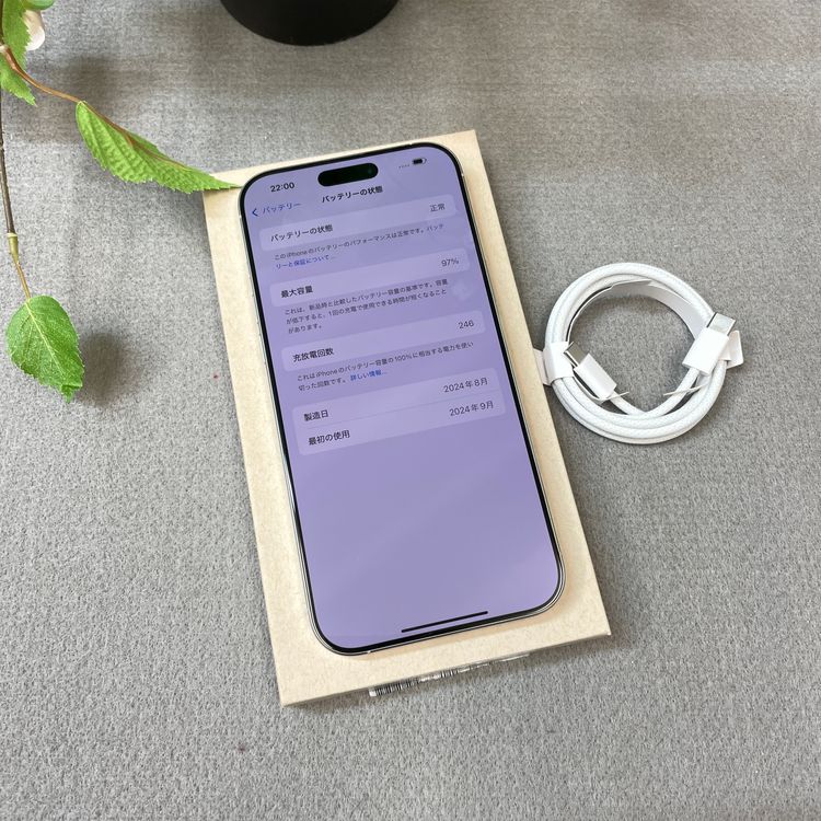 ����Ʊ�� iPhone 16ProMax 512GB �ۥ磻�� ������ SIM�ե꡼����̵��