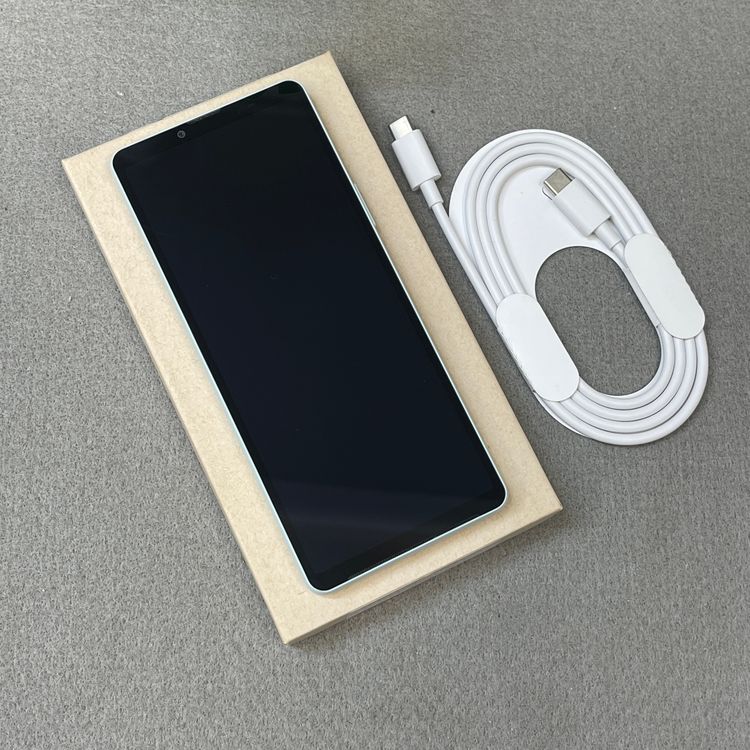 Xperia 10VI 128GB �֥롼 SO-52E �ɥ����� SIM�ե꡼ ����̵��