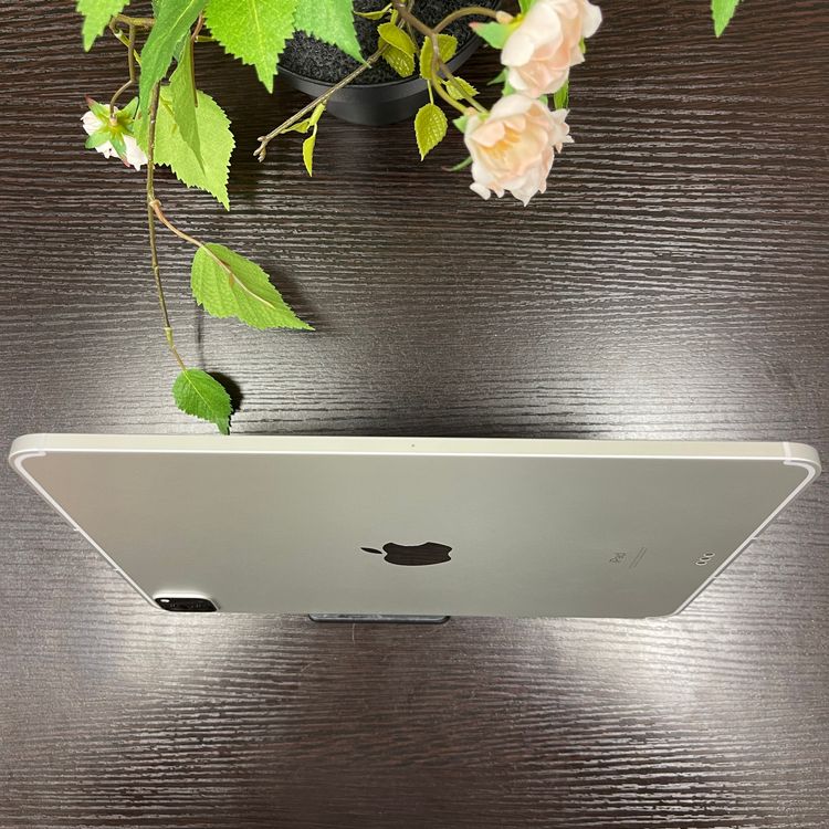iPad Pro 113128GB  Wi-Fi + Cellularǥ