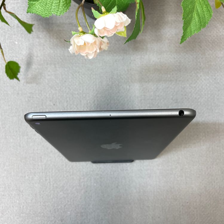 iPad mini 5 ���ڡ������쥤 64Gb Wi-Fi��ǥ� ����̵��