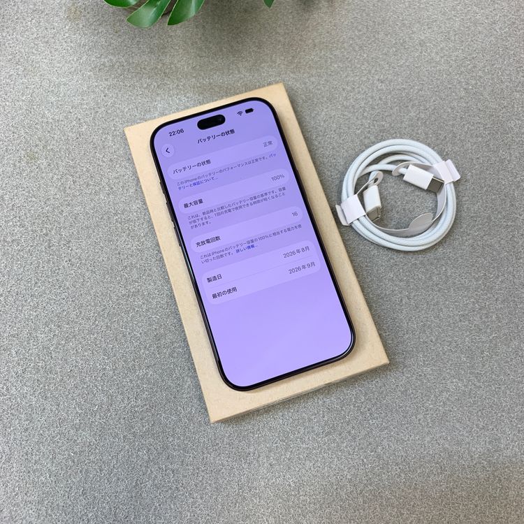 ����Ʊ�� iPhone 18Pro 256GB �С�����ǥ� ������ SIM�ե꡼����̵��