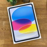 ���ʡ�̤���� iPad A16 11����� 256GB �֥롼 WiFi�� ����̵��