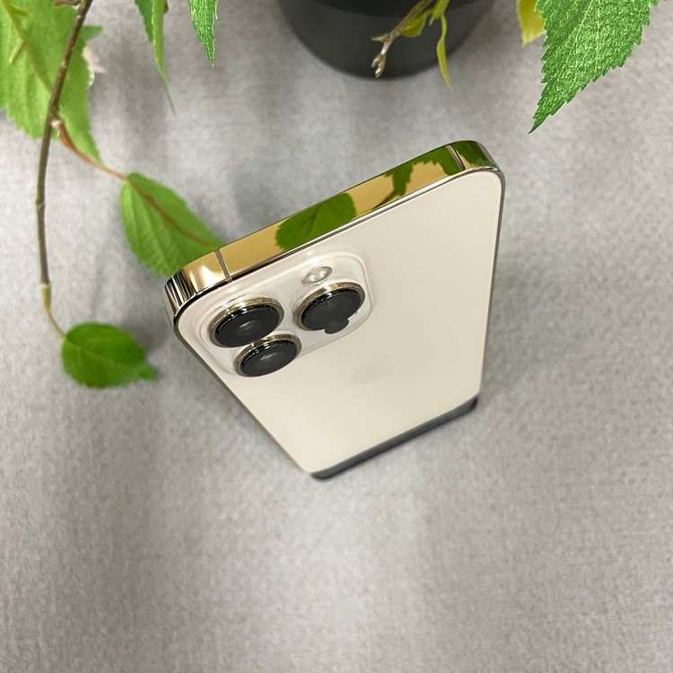 iPhone 13Pro 256GB  SIMե꡼ ̵