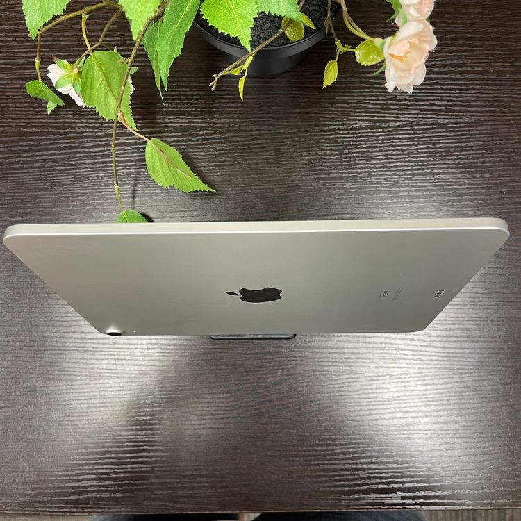 iPad Air(4) 256GB СWi-Fiǥ