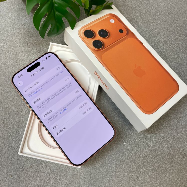 �Хåƥ꡼ 95% iPhone 17Pro 256GB ����� ������ SIM�ե꡼����̵��