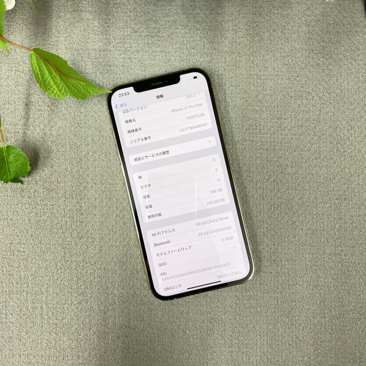 iPhone12 Pro Max 256Gb ������� ����SIM�ե꡼ ����̵��