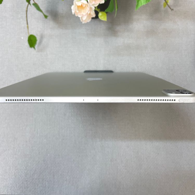 iPad Pro 12.9���������4�����512GB Wi-Fi��ǥ� ����̵��