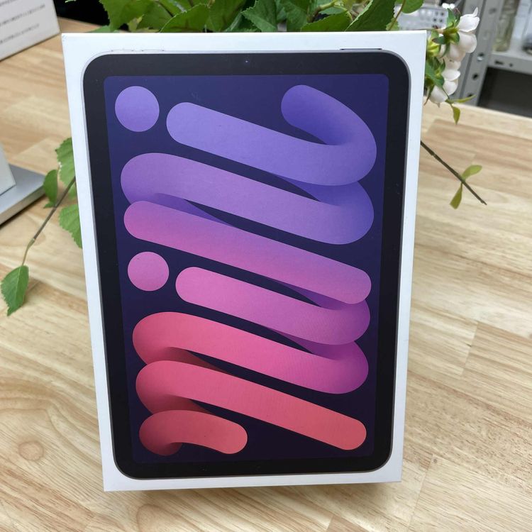 ʡ̤ iPad Mini A17Pro 128GB ѡץ Cellular ̵