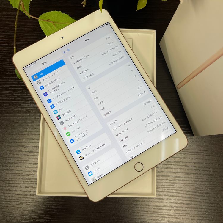 iPad mini 5   64Gb Wi-Fi + Cellularǥ ̵