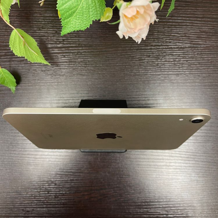 Ʊ iPad mini 6 256GB Wi-Fiǥ ̵