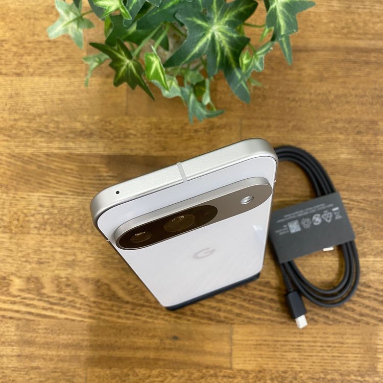 ����Ʊ��Google Pixel 9 128Gb �ݡ������ ����SIM�ե꡼ ����̵��