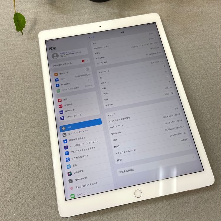 iPad Pro 12.9���������2�����256GB  Wi-Fi + Cellular��ǥ�