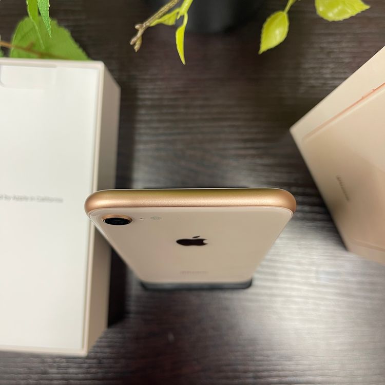 iPhone8 64GB  SIMե꡼ ̵