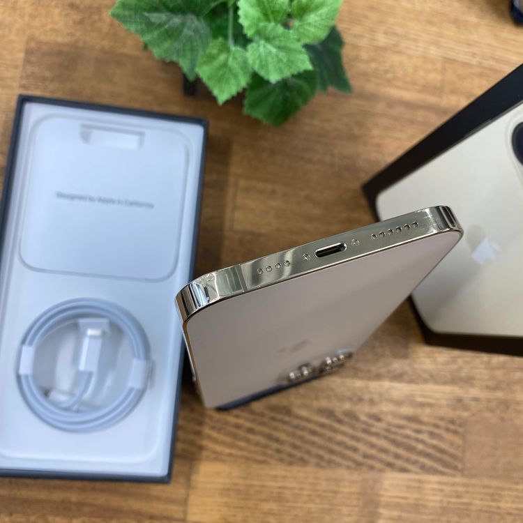 iPhone13 Pro Max 128GB ������� ����SIM�ե꡼ ����̵��