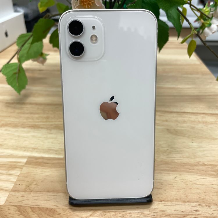 iPhone 12 ۥ磻 64Gb SIMե꡼ ̵