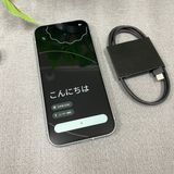 Google Pixel 9 128Gb ���ȥ���SIM�ե꡼ ����̵��