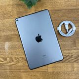 iPad mini 5 ���ڡ������쥤 64Gb Wi-Fi��ǥ� ����̵��