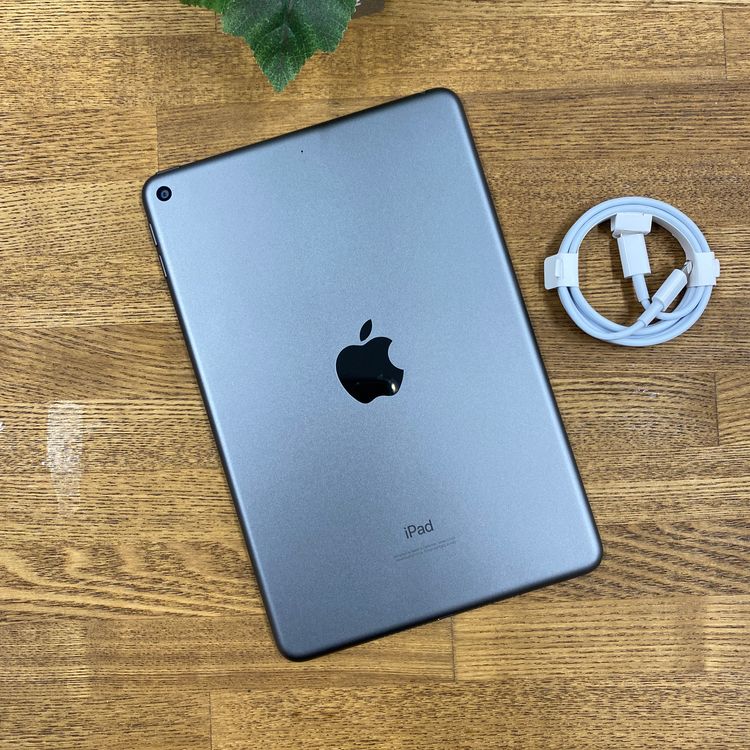 iPad mini 5 ���ڡ������쥤 64Gb Wi-Fi��ǥ� ����̵��