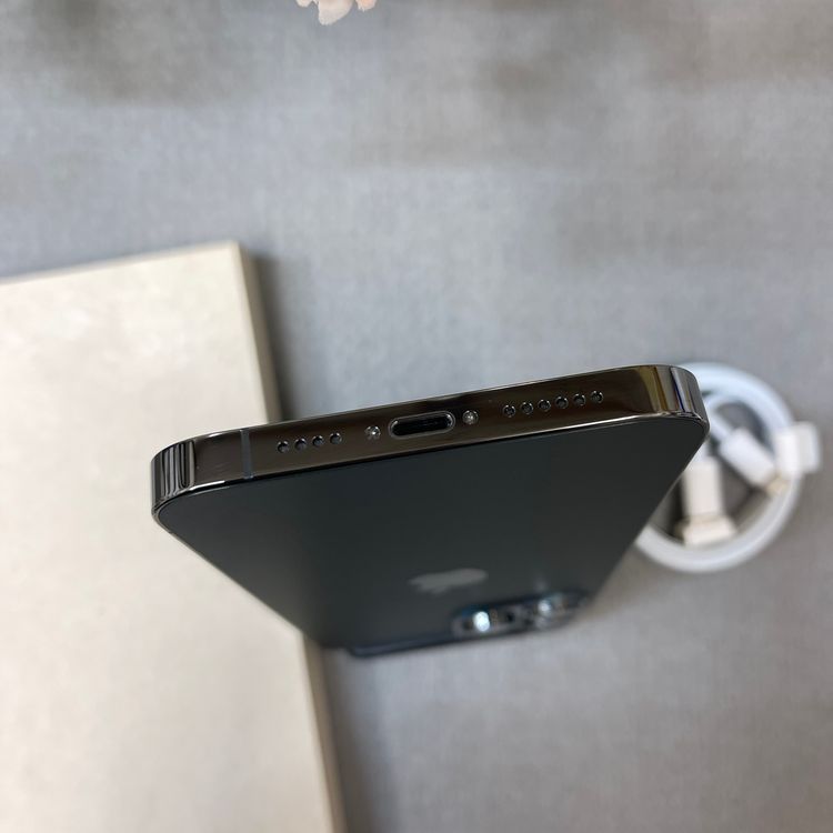 �Хåƥ꡼ 98%iPhone 13ProMax 256GB ����ե����ȹ���SIM�ե꡼ ����̵��