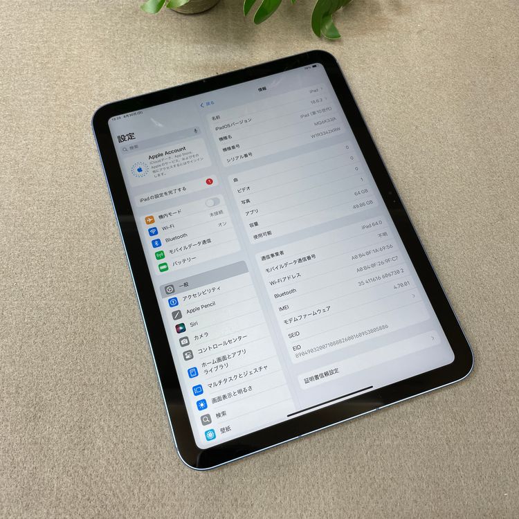 �Хåƥ꡼ 94�� iPad(��10����) �֥롼 64GB Wi-Fi + Cellular��ǥ�