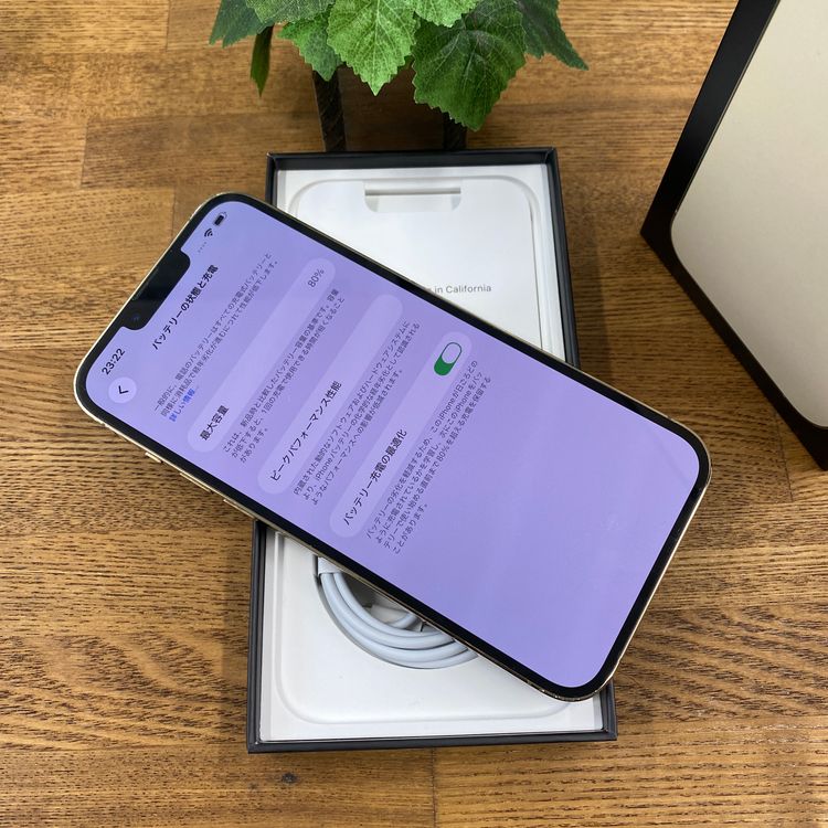 iPhone13 Pro Max 128GB ������� ����SIM�ե꡼ ����̵��