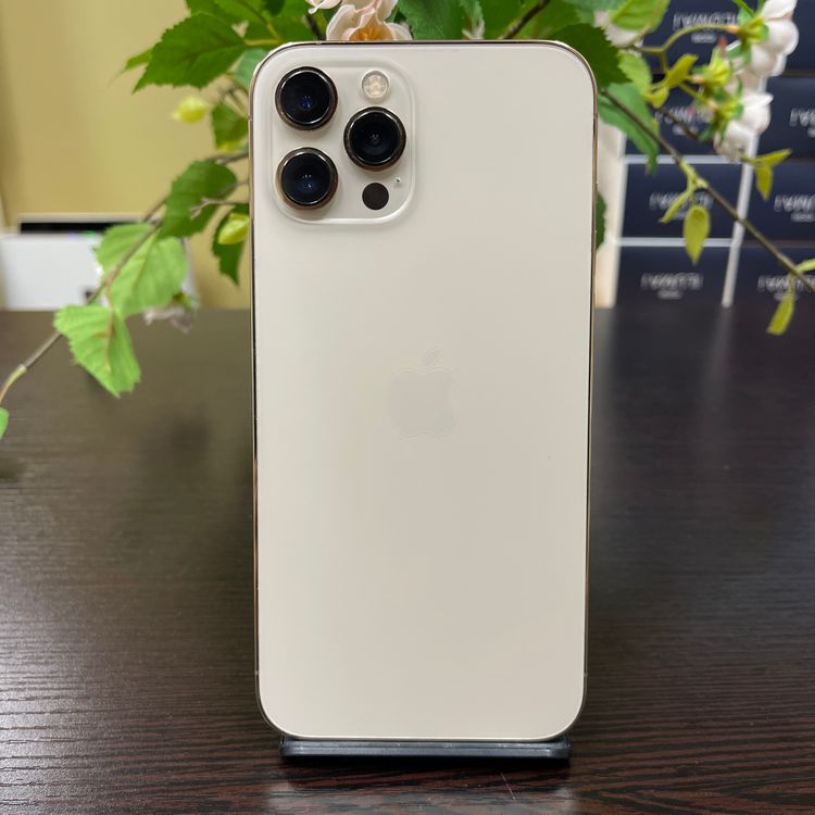 iPhone 12ProMax 128Gb  SIMե꡼ ̵