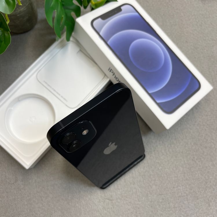 �Хåƥ꡼ 83% iPhone 12 256Gb �֥�å� ������ SIM�ե꡼