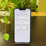 iPhone 13Pro 256Gb ֥롼   SIMե꡼ ̵