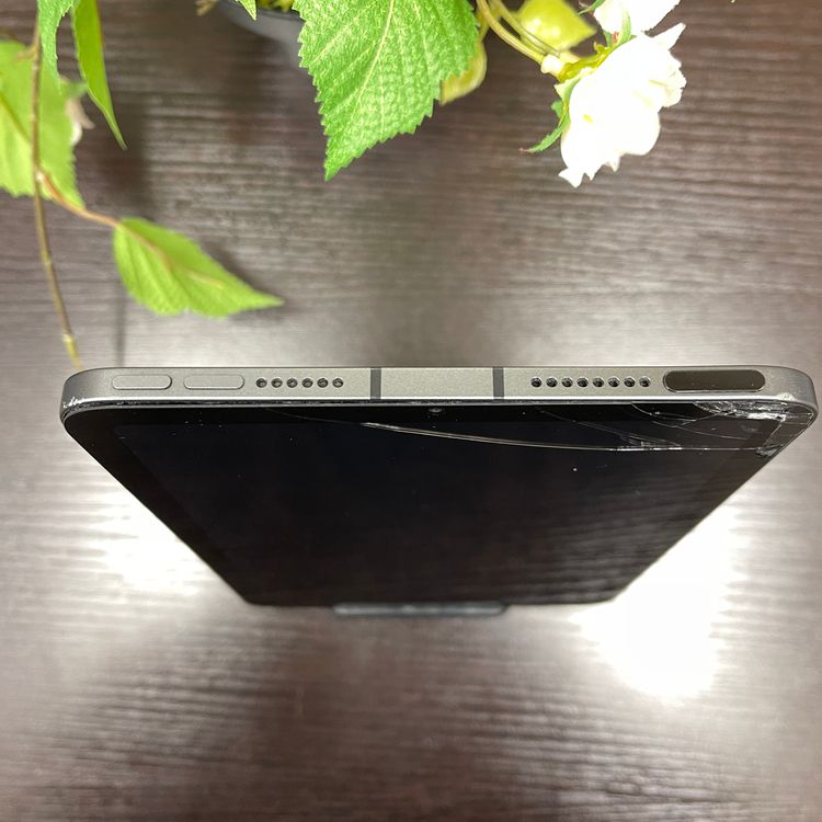 iPad Mini 6 64GB Wifi + Cellular SIMե꡼ ̵