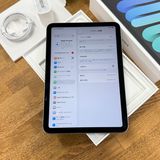 Ʊ iPad Mini A17Pro 128GB 졼 WiFi + Cellular