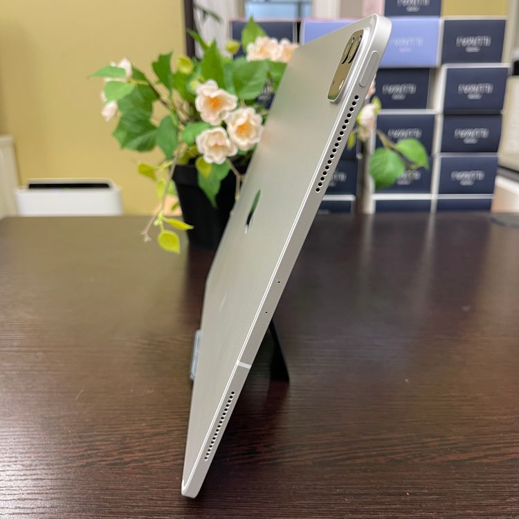 iPad Pro 12.94128GB Wi-Fi + Cellularǥ