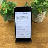 iPhone SE2 64Gb �ۥ磻�� ������ SIM�ե꡼ ����̵�� 42333