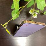 iPhone 16Promax 256GB ǥ SIMե꡼ ̵