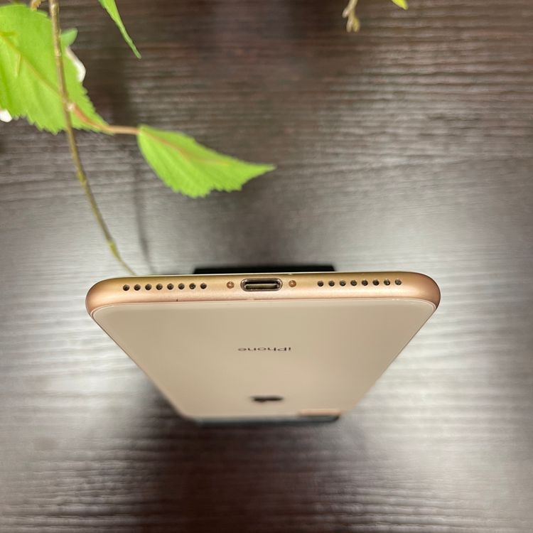 iPhone8 Plus 64GB  SIMե꡼ ̵