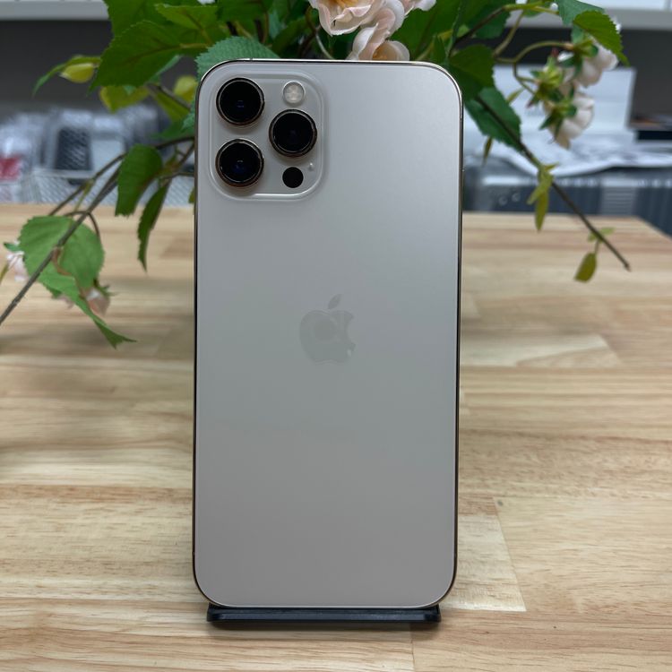 iPhone12 Pro Max 256Gb  SIMե꡼ ̵