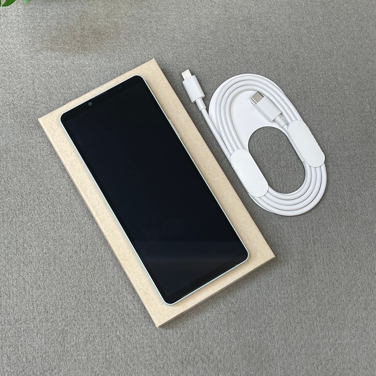 Xperia 10VI 128GB �֥롼 SO-52E �ɥ����� SIM�ե꡼ ����̵��