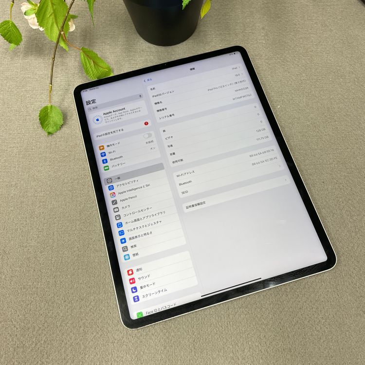 iPad Pro 12.9���������5�����128GB ����С�����̵�� WCT6J