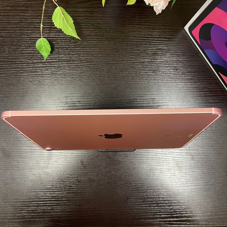 iPad Air(4) 256GB ԥ  Wi-Fi + Cellularǥ
