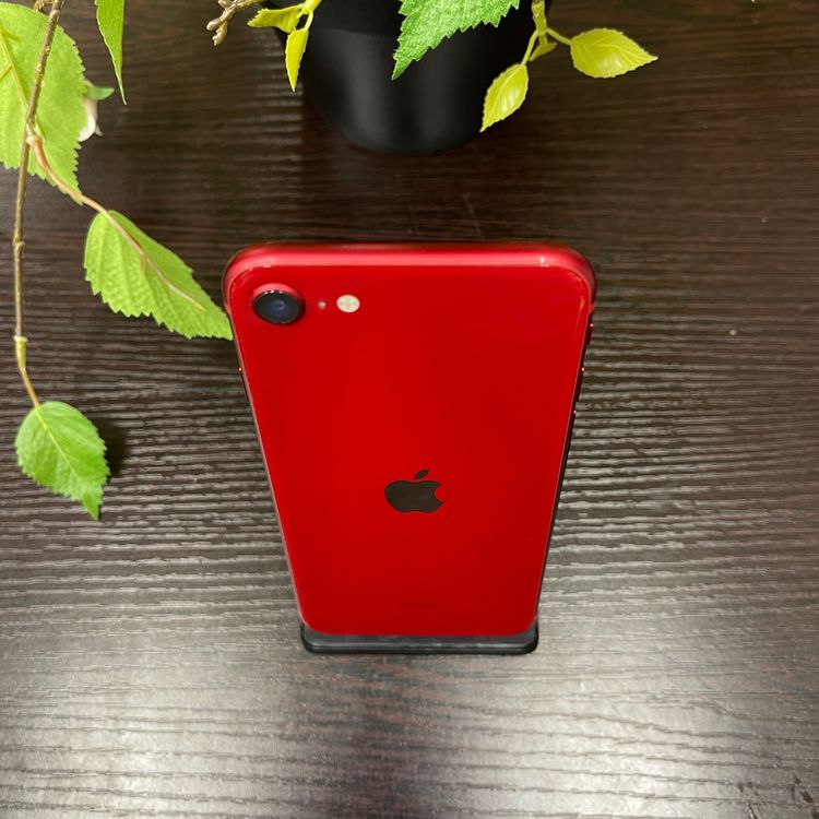 iPhone SE(裳) 128GB å SIMե꡼ ̵