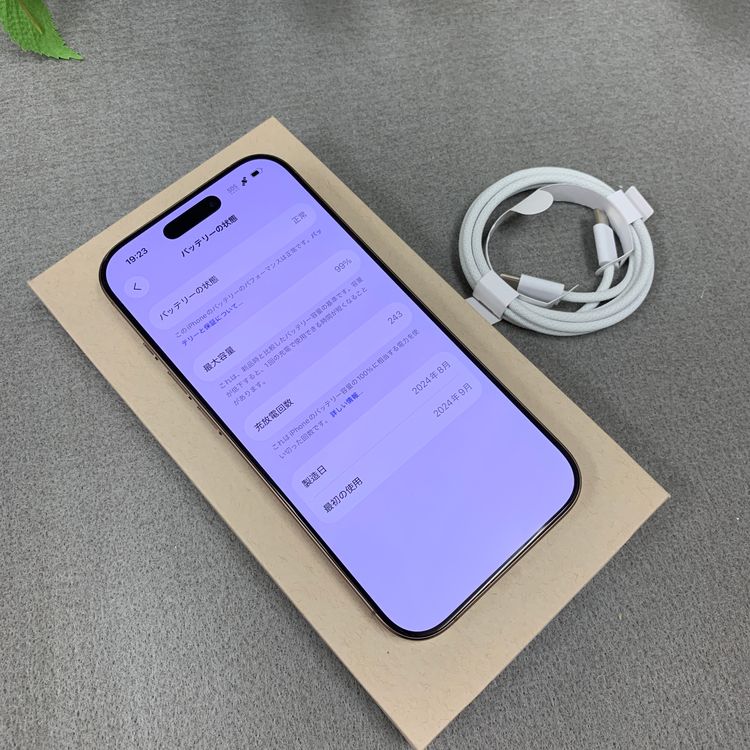�Хåƥ꡼ 99% iPhone16Pro 256GB �ǥ����� ������ SIM�ե꡼ ����̵��
