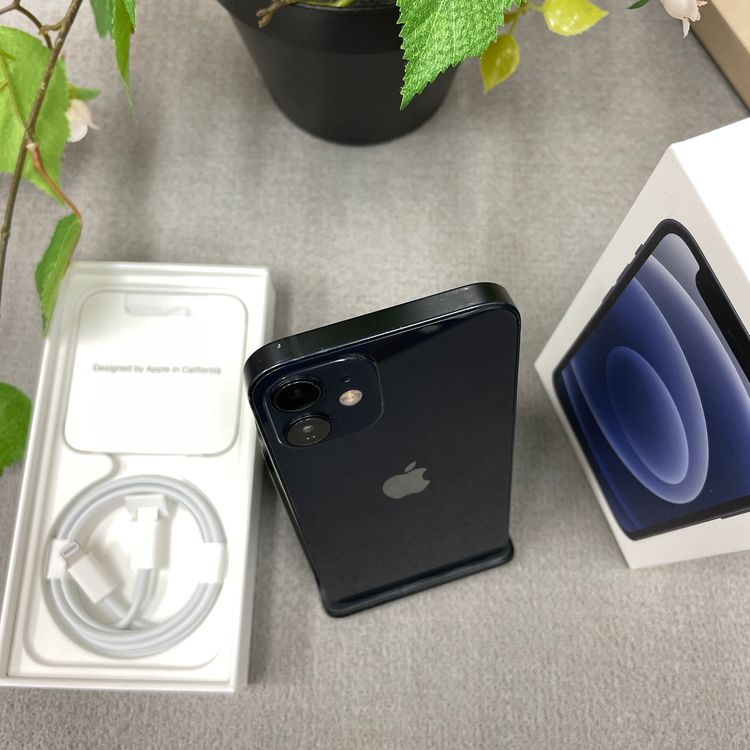 iPhone 12 mini 128GB  �֥�å� SIM�ե꡼ ����̵��