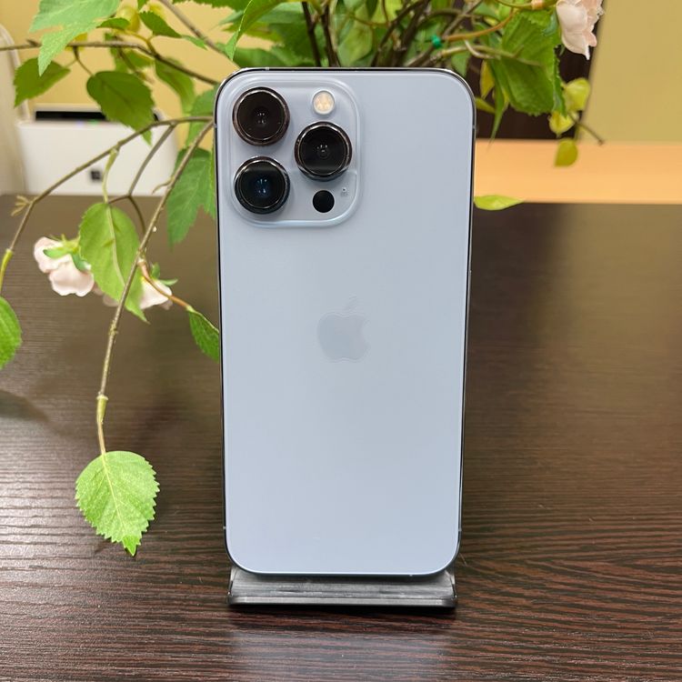iPhone 13Pro 256Gb ֥롼   SIMե꡼ ̵