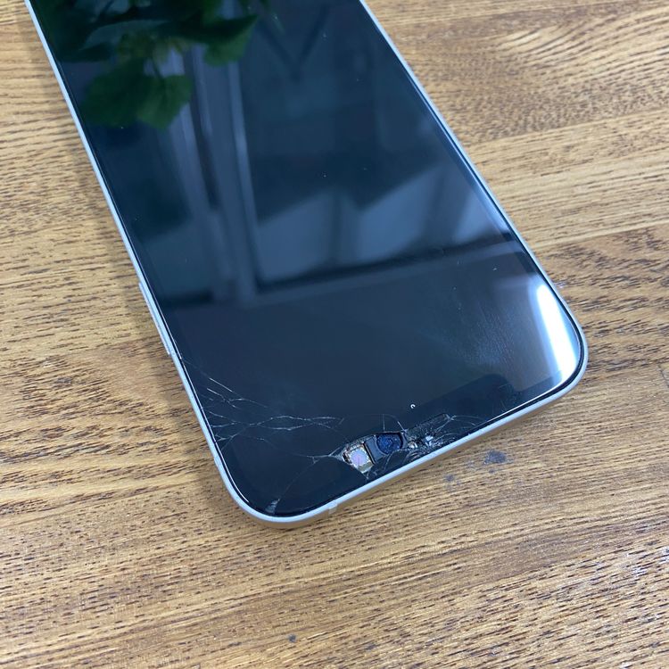 iPhone 12 ����� �ۥ磻������̵��